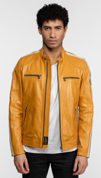 104152-scotty-jaune-(1)