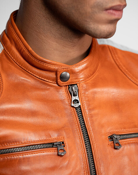 104152-scotty-orange-(5)